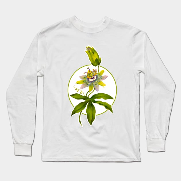 Passion fruit flower Long Sleeve T-Shirt by Marccelus